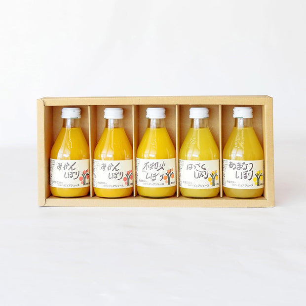 Ito Noen Wakayama Orange Juice Set of 5