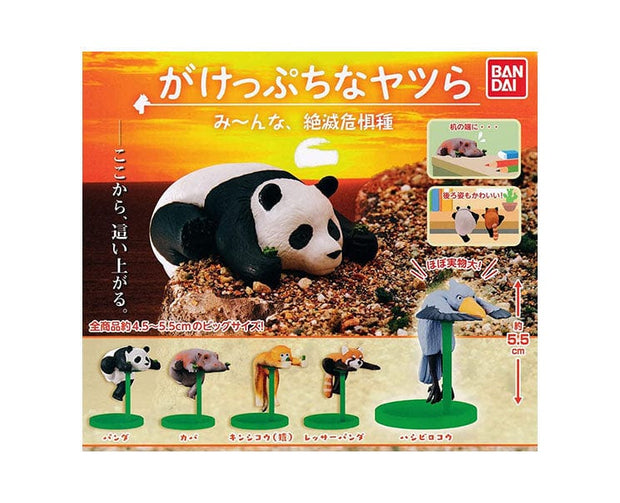 Animals Hanging On The Edge Gachapon Anime & Brands Sugoi Mart