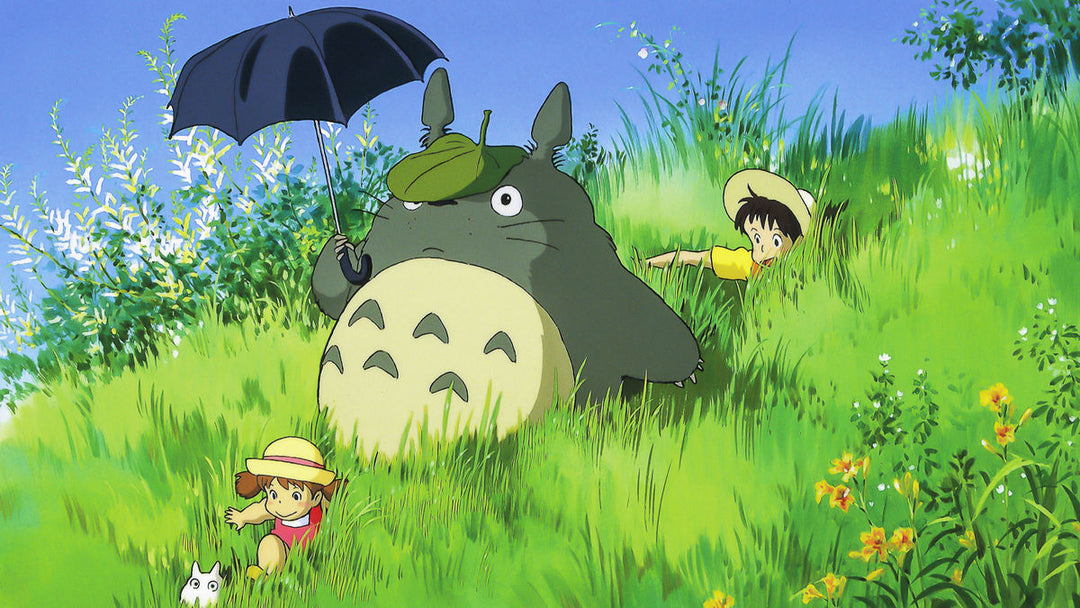 Everything You Need to Know About My Neighbor Totoro