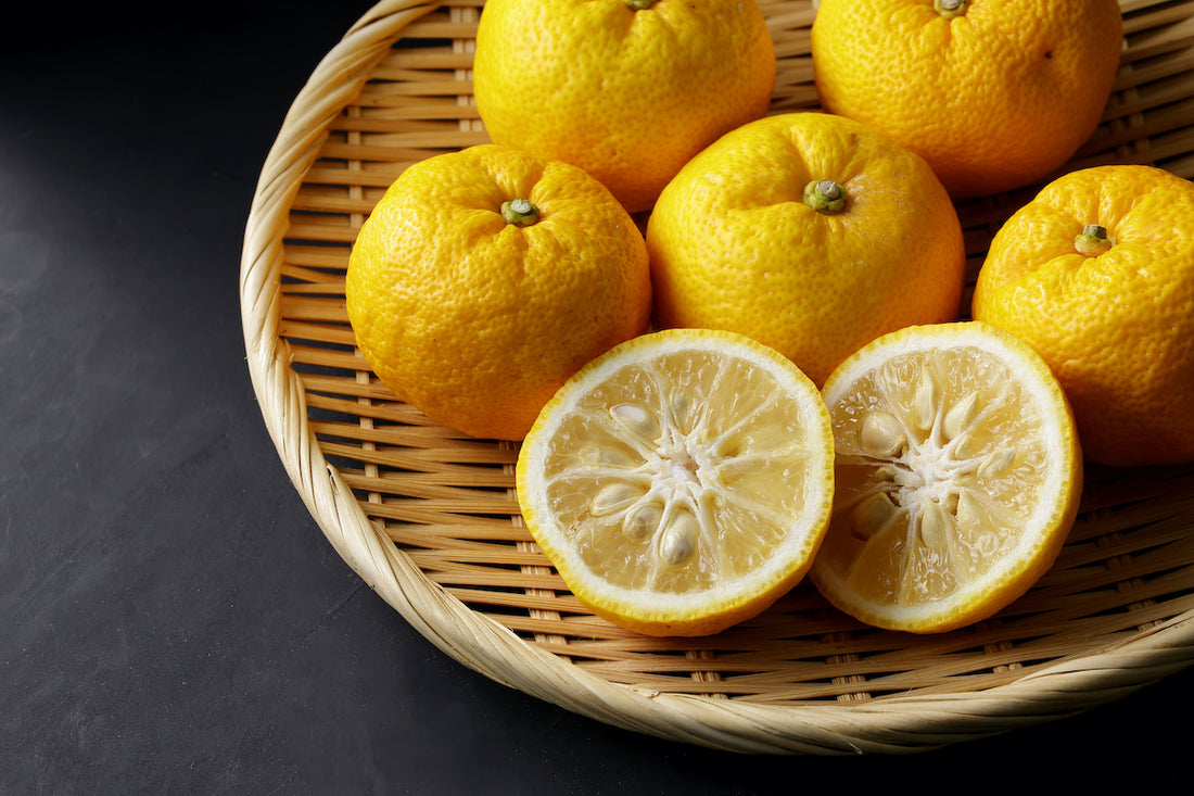 Japanese Yuzu citrus