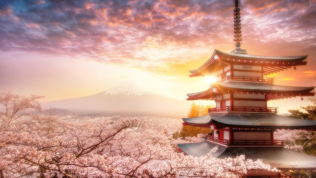 Savor the Magic of Sakura Season in Japan