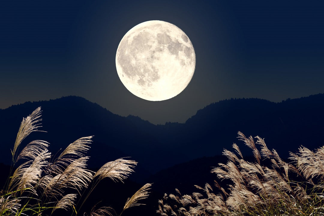 Tsukimi Japanese moon viewing