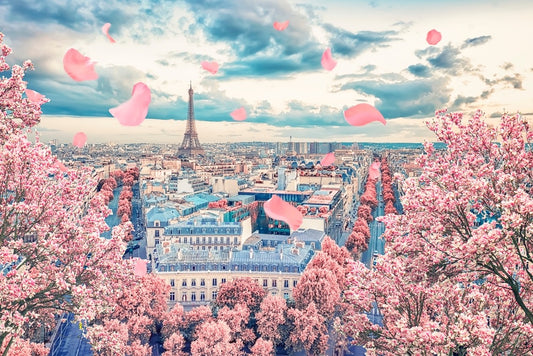 Cherry Blossoms Beyond Japan: Sakura Around the World