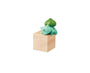 Pokemon Pittori Collection Blind Box Vol 2 Anime &amp; Brands Sugoi Mart thumbnail 4