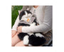 Realistic Black Cat Backpack thumbnail 3