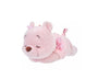 Disney Sakura 2024 Pooh Plushie Pencil Case thumbnail 1