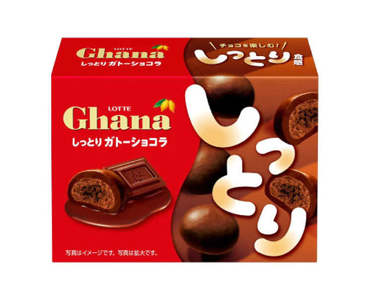 Lotte Ghana Chocolate Moist Gateau