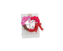 Pokemon Japan Happiness Wreath Blind Box thumbnail 5