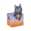 Godiva Black Cat Crispy