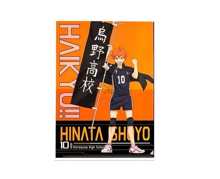 Haikyu!! Clear File Shoyo Hinata