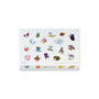 Pokemon Japan Chocolate Medium Assortment thumbnail 2