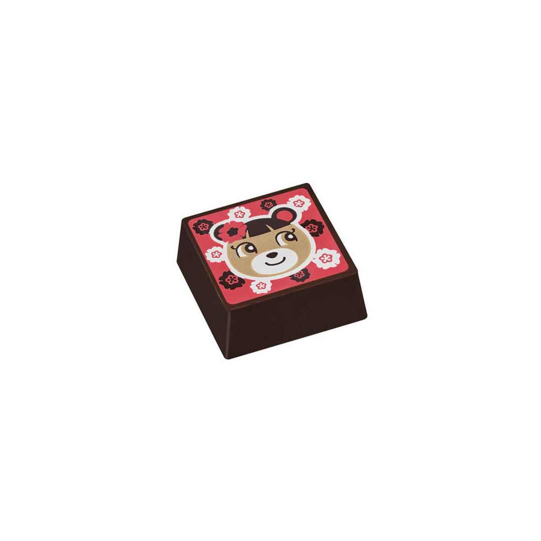 Nintendo Animal Crossing X Godiva Valentine's Chocolate: 10 Assortment