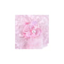 Disney Plush Toy Sakura: Eeyore thumbnail 7