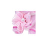Disney Plush Keychain Sakura: Stitch thumbnail 4