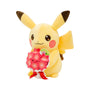 Pokemon Pikachu and Gracidea& thumbnail 2