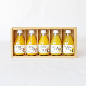 Ito Noen Wakayama Orange Juice Set of 5