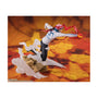 One Piece Figuarts Super Fierce Battle: Koby thumbnail 5