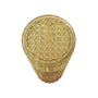 Starbucks Autumn Festival 2025 Beige Cold Tumbler thumbnail 3