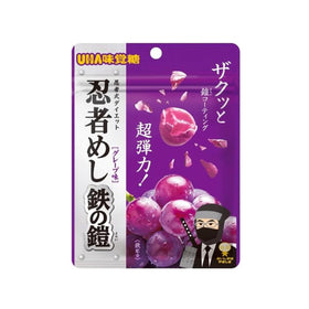 UHA Mikakuto Ninja Meshi Iron Armor