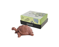 Zoology Chocolate Giant Tortoise Candy and Snacks Sugoi Mart