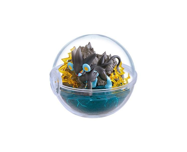 Pokemon Terrarium Collection Blind Box Vol. 9 Anime & Brands Sugoi Mart