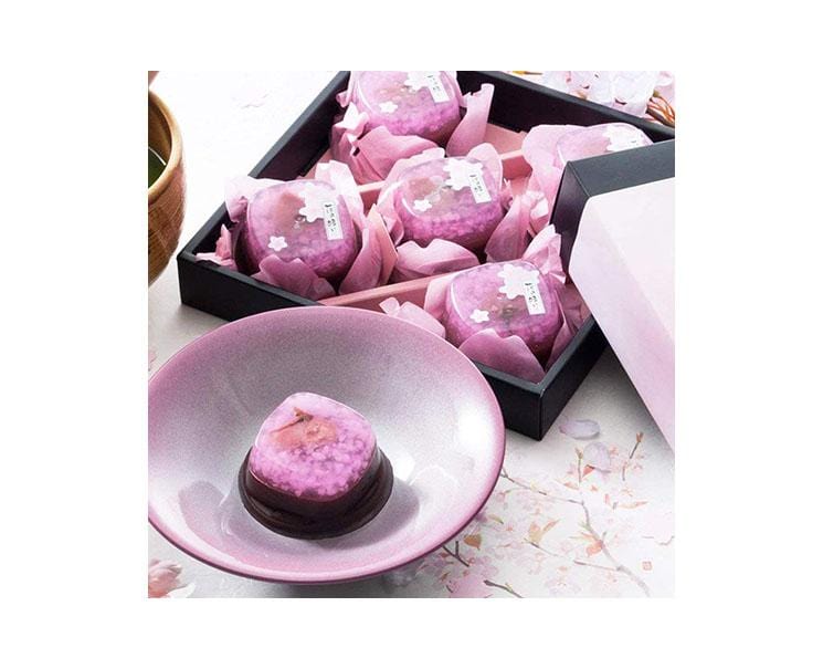 Sakura Sweet Bean Yokan Jelly (5 Pieces) Candy and Snacks Sugoi Mart