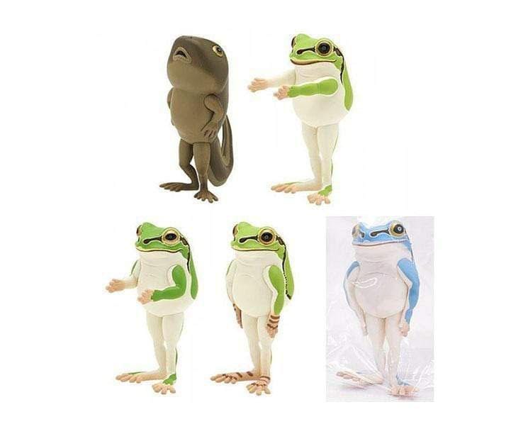 Frogs Gachapon Complete Set Anime & Brands Sugoi Mart