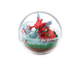 Pokemon Terrarium Blind Box Vol. 8 Anime &amp; Brands Sugoi Mart thumbnail 5