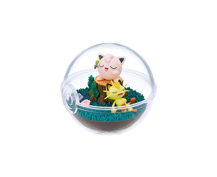 Pokemon Terrarium Collection Blind Box Vol. 9 Anime & Brands Sugoi Mart