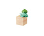 Pokemon Pittori Collection Blind Box Vol 2 Anime &amp; Brands Sugoi Mart thumbnail 4