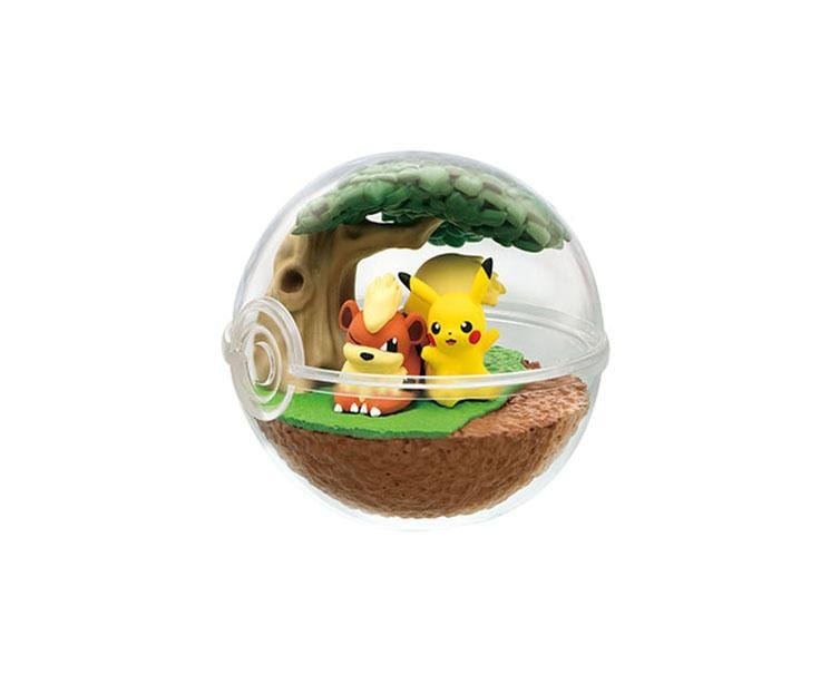 Pokemon Terrarium Collection Blind Box Vol. 7 Anime & Brands Sugoi Mart