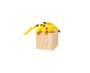 Pokemon Pittori Collection Blind Box Vol 2 Anime &amp; Brands Sugoi Mart thumbnail 2