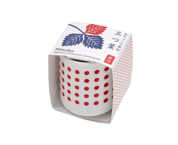 Mitsuba: Japanese Honeywort Growing Kit Home Sugoi Mart