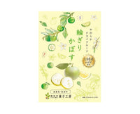Dried Japanese Citrus Snack Candy and Snacks Sugoi Mart