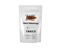 Takeo Giant Waterbugs Snack Food and Drink Sugoi Mart
