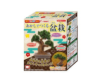 Bonsai Plant DIY Candy Candy and Snacks Sugoi Mart