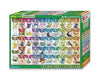 Pokemon Japanese Syllabaries Puzzle Toys and Games Sugoi Mart