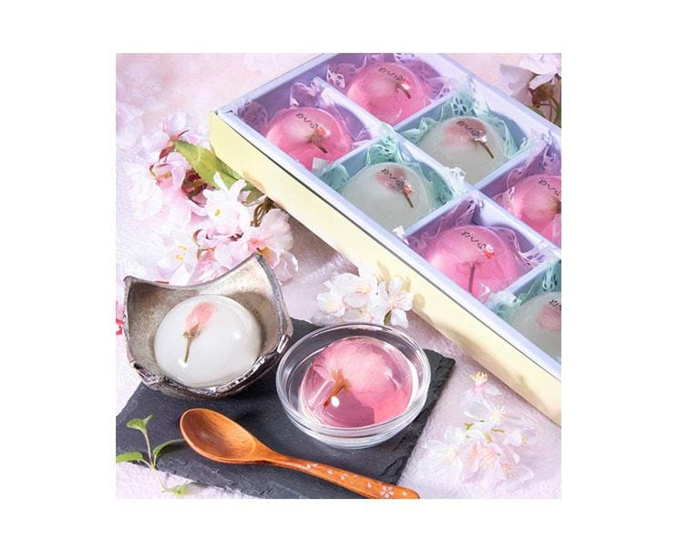 Sakura Petal Jelly (8 Pieces) Candy and Snacks Sugoi Mart