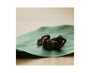 Takeo Zebra Tarantula Snack Food and Drink Sugoi Mart thumbnail 2