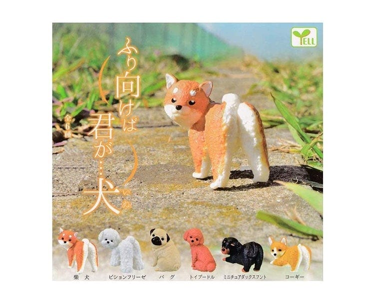 Dog Gachapon Anime & Brands Sugoi Mart