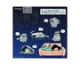 With a Cat at Night Gachapon Anime &amp; Brands Sugoi Mart thumbnail 1
