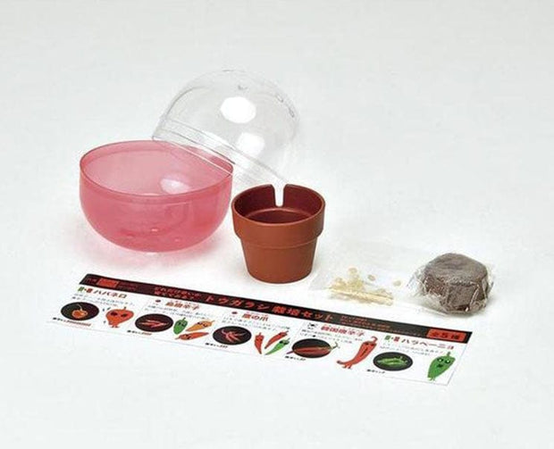DIY Grow Spicy Pepper Gachapon Anime & Brands Sugoi Mart