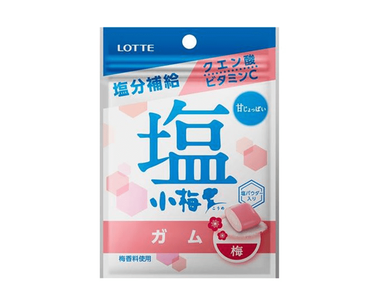 Lotte Salt and Ume Gum Candy and Snacks Japan Crate Store
