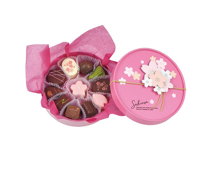 Miyabi Sakura Chocolate Box 11 Pieces