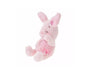 Disney Sakura 2024 Piglet Plushie thumbnail 2