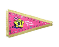 Kirby 30th Anniversary: Kirby Star Pennant Home Sugoi Mart
