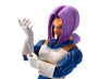 Dragon Ball Z Figure: Future Trunks Anime &amp; Brands Sugoi Mart thumbnail 4