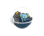 Pokemon Terrarium Collection Blind Box Vol. 12 thumbnail 4