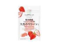Nippon Ale Gummy: Skyberry Strawberry Candy & Snacks Sugoi Mart