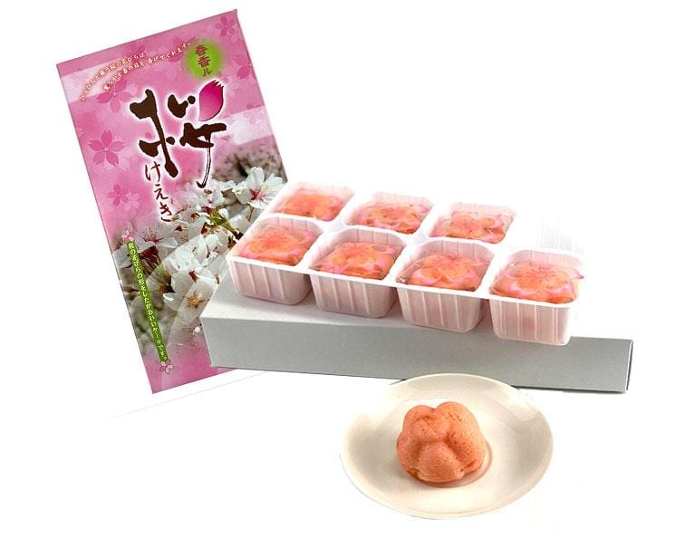 Spring Sakura Cake Gift Box Candy and Snacks Sugoi Mart